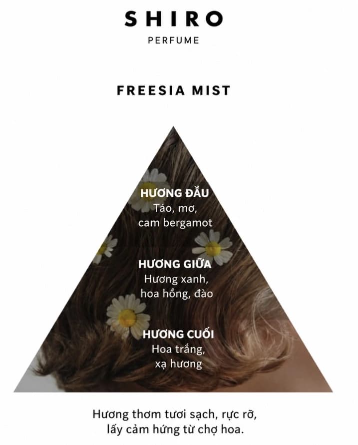 Nước hoa SHIRO PERFUME FREESIA MIST Eau de Parfum 50ml — ảnh 2